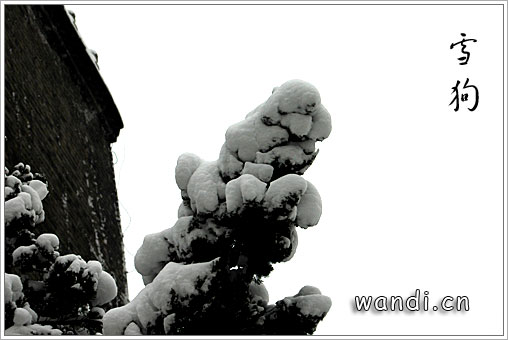 ѩ--2006差ѩ