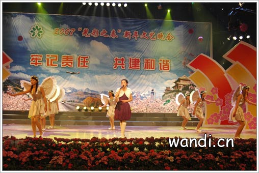 2007ꡰ֮