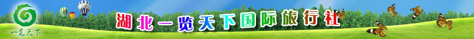 һ¹