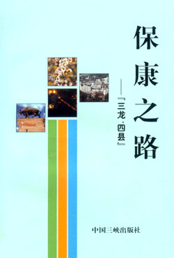 鼮ʫѡӰ
