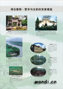 鼮ʫѡӰ